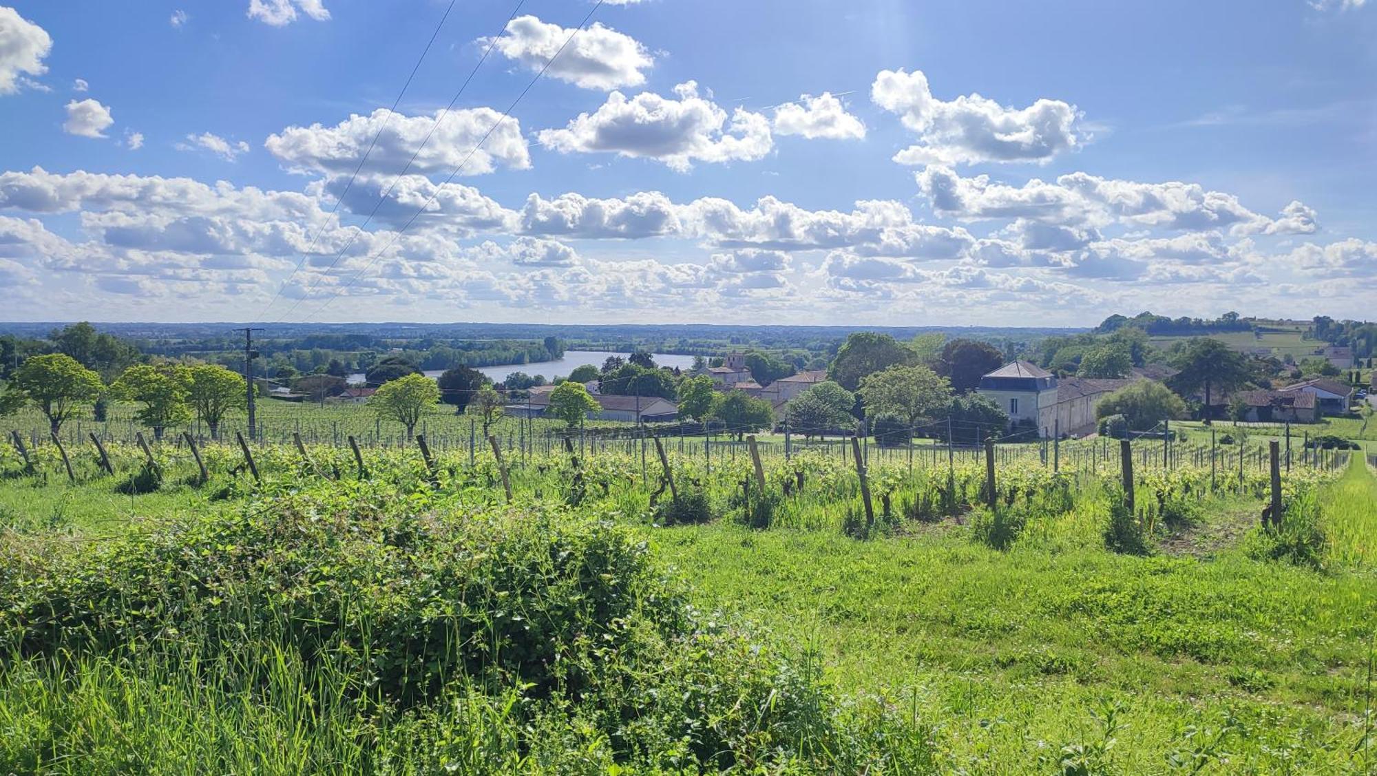 Maison Charmeilles - La Suite Pomerol Fronsac  ภายนอก รูปภาพ