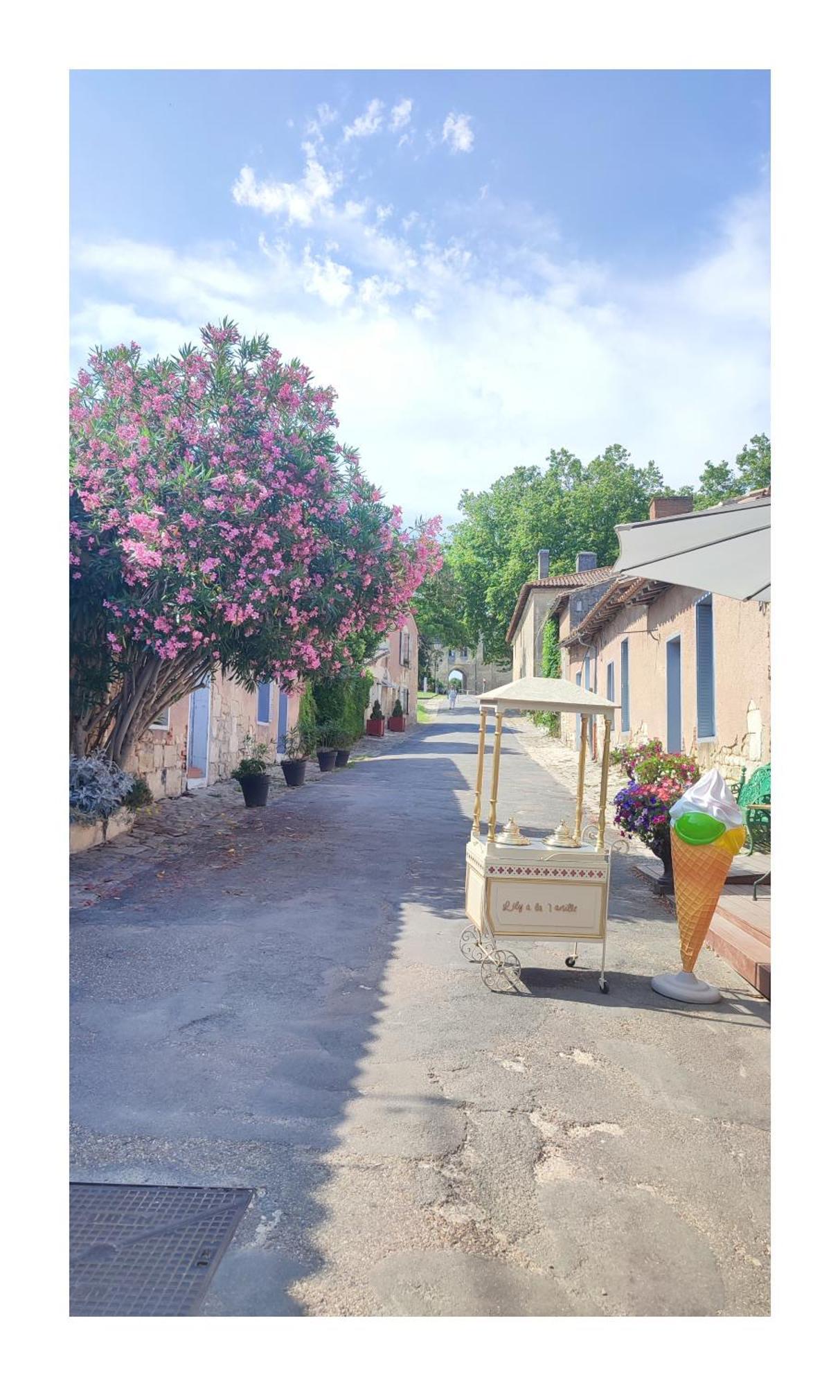 Maison Charmeilles - La Suite Pomerol Fronsac  ภายนอก รูปภาพ