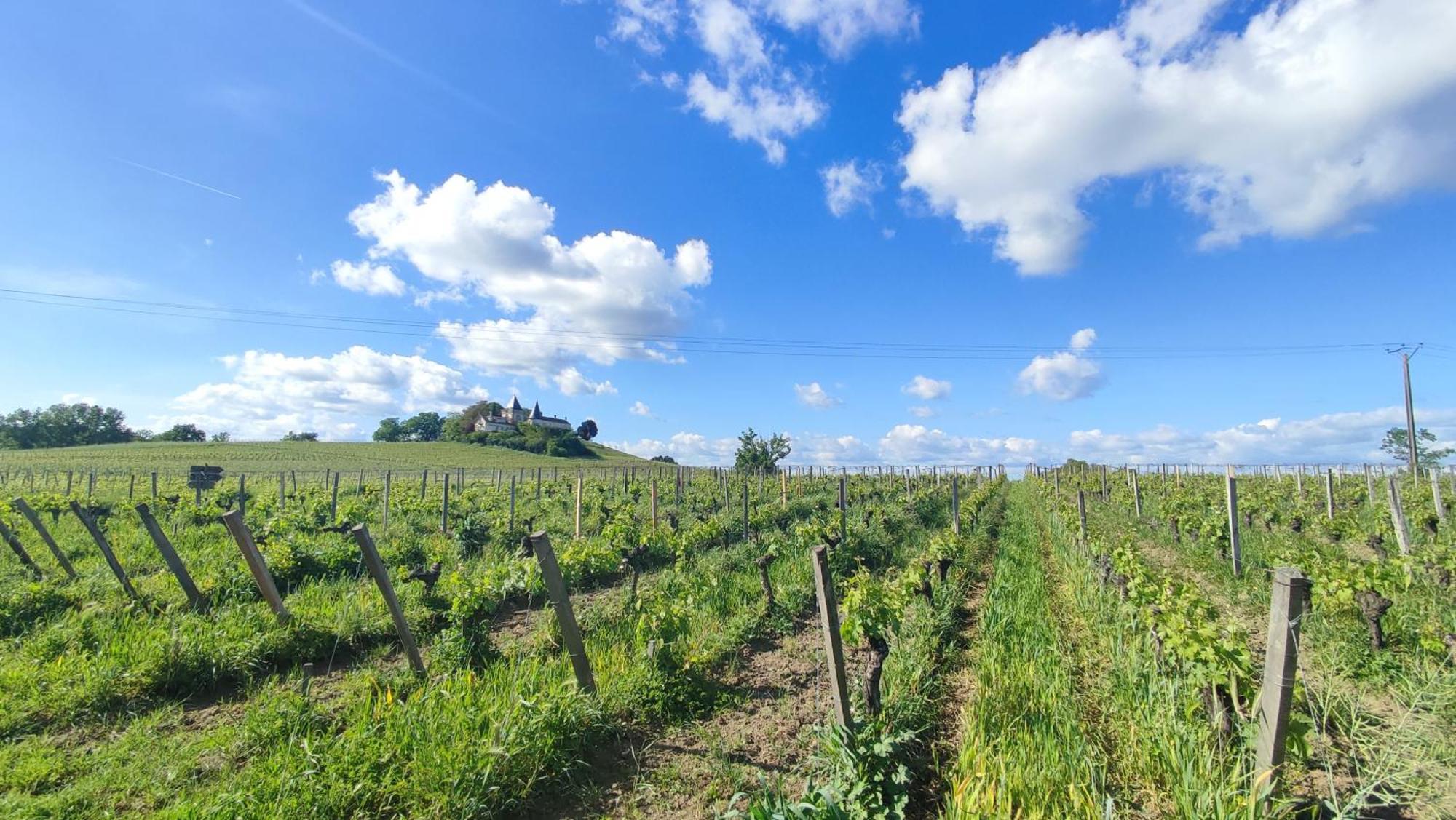 Maison Charmeilles - La Suite Pomerol Fronsac  ภายนอก รูปภาพ